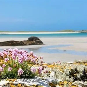 Wild Atlantic Self-catering Gasthof Inverin