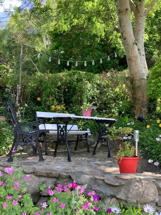 קיל איירן O' Sullivan'S B & B לינה וארוחת בוקר קיל איירן